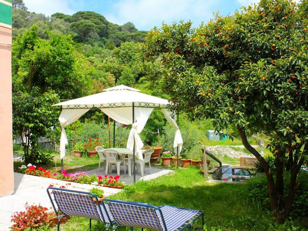 Appartamento di Prestigio- Cà da Lina - Deiva Marina Exterior foto